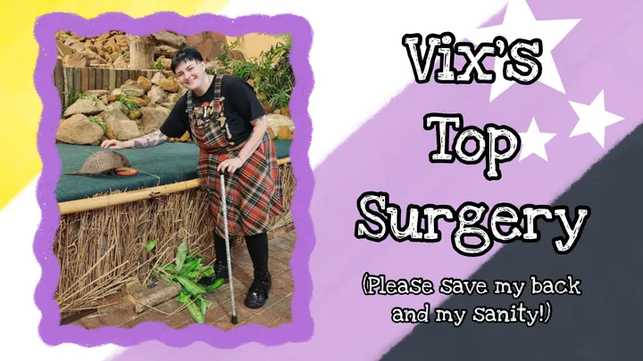 A Photo of Vix standing next to creature. To the right is the words "Vix's Top Surgery (please save my back and my sanity!)". The background is coloured like a non-binary pride flag rotated to 45 degrees.